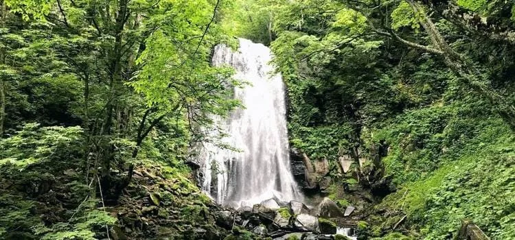 会津の滝