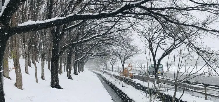 会津の雪景色
